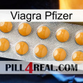 Viagra Pfizer levitra1